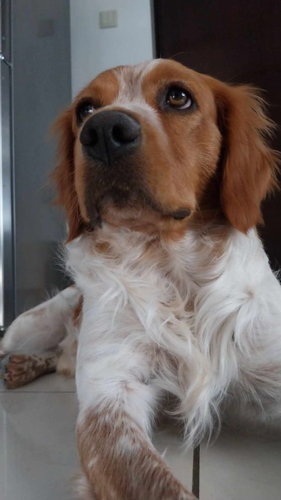 Omiljeni bistro Kod Starog odlično je odredište i u ljetnim danima!