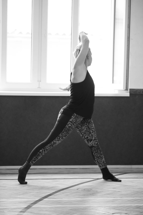 Šibenik Dance Festival donosi edukativne i zabavne plesne radionice za djecu i odrasle