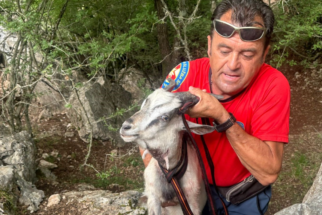 Šibenski HGSS-ovci spasili kozliće iz jame: ‘Je li vuk sit ne znamo, ali kozlići su svi na broju‘