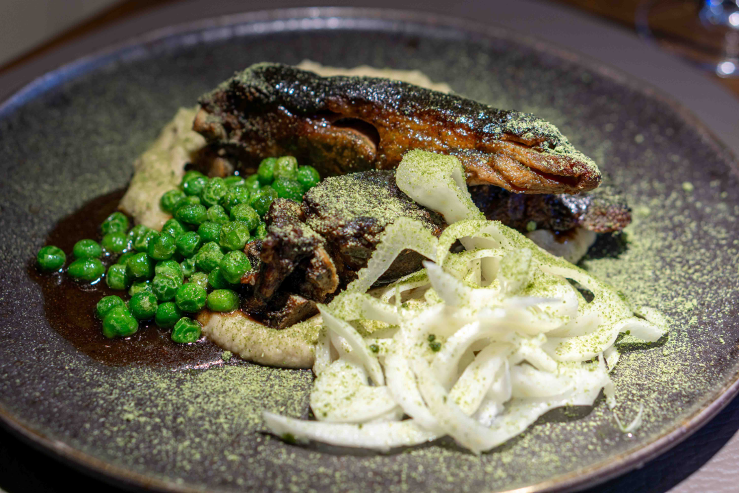 Provedite ugodne večeri na terasi restorana Mlin Montanari uz svirke uživo