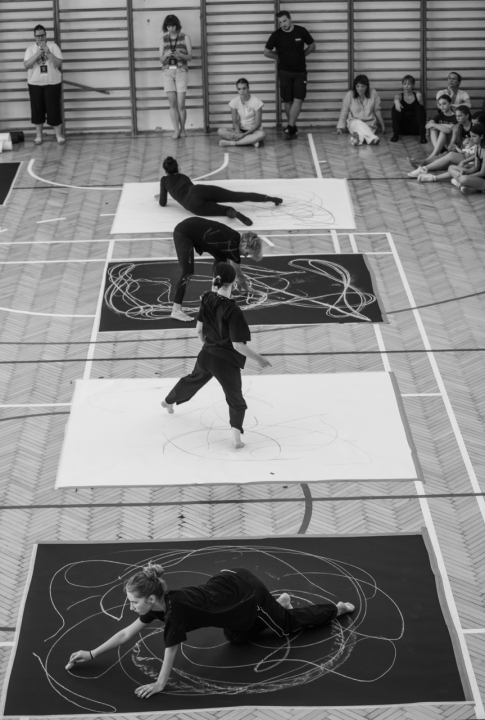 Izvedba ispunjena snažnim emocijama dotaknula je publiku i zaokružila 13. izdanje Šibenik Dance Festivala 