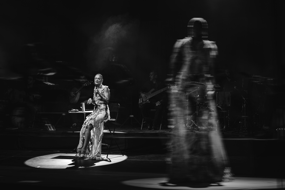 Mariza na sv. Mihovil donijela čaroliju fada i emotivnim intepretacijama dirnula srca publike 