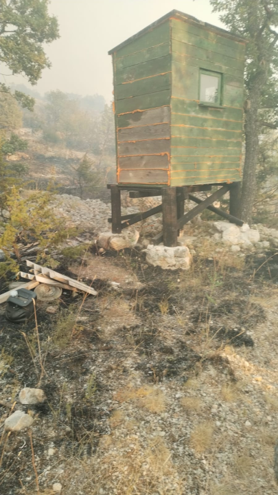 U katastrofalnom požaru u skradinskom zaleđu stradale i brojne životinje