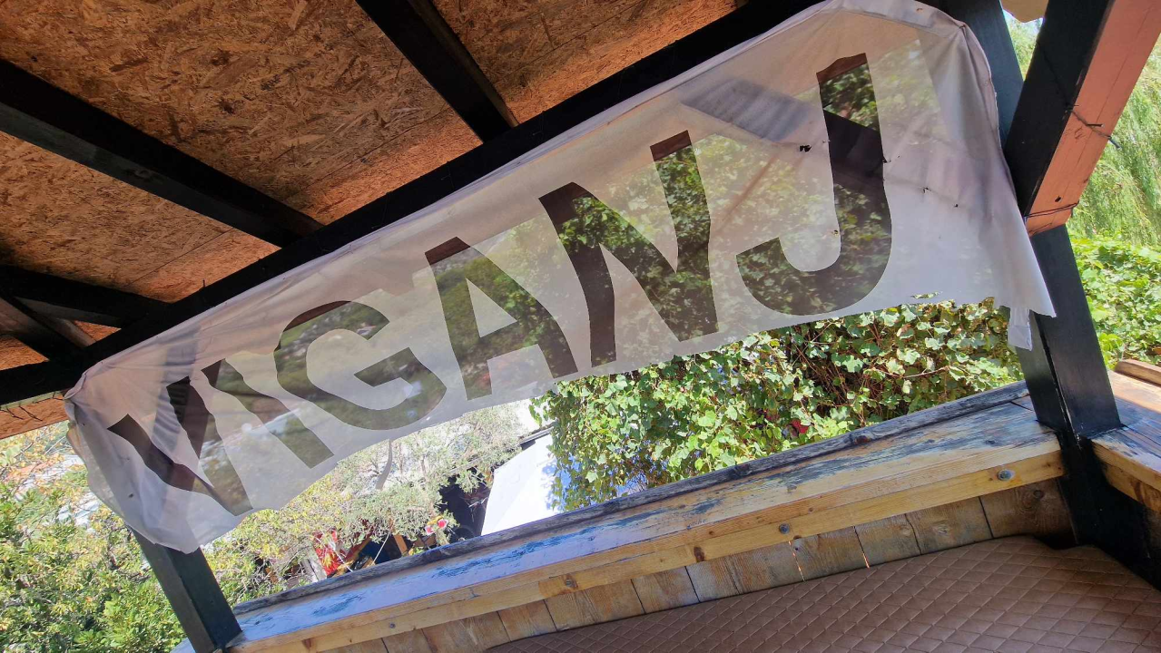 Morska avantura  ŠibenikIN-a: Tjedan dana jedrenja do Dubrovnika, prekrasnih otoka i vala uz nezaboravnu igru dupina