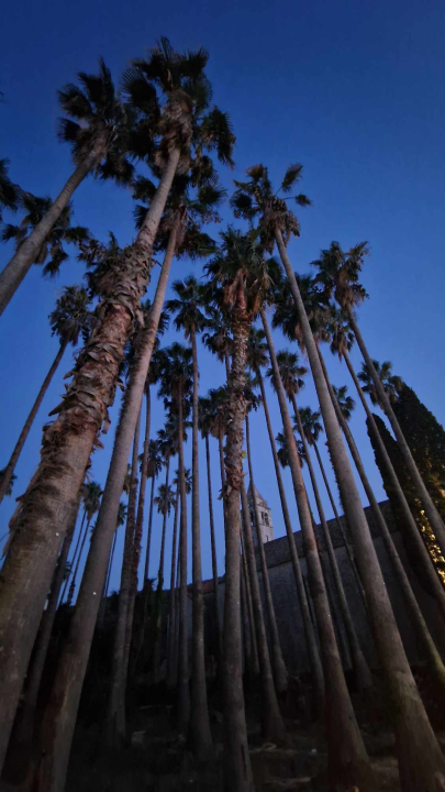 Morska avantura  ŠibenikIN-a: Tjedan dana jedrenja do Dubrovnika, prekrasnih otoka i vala uz nezaboravnu igru dupina