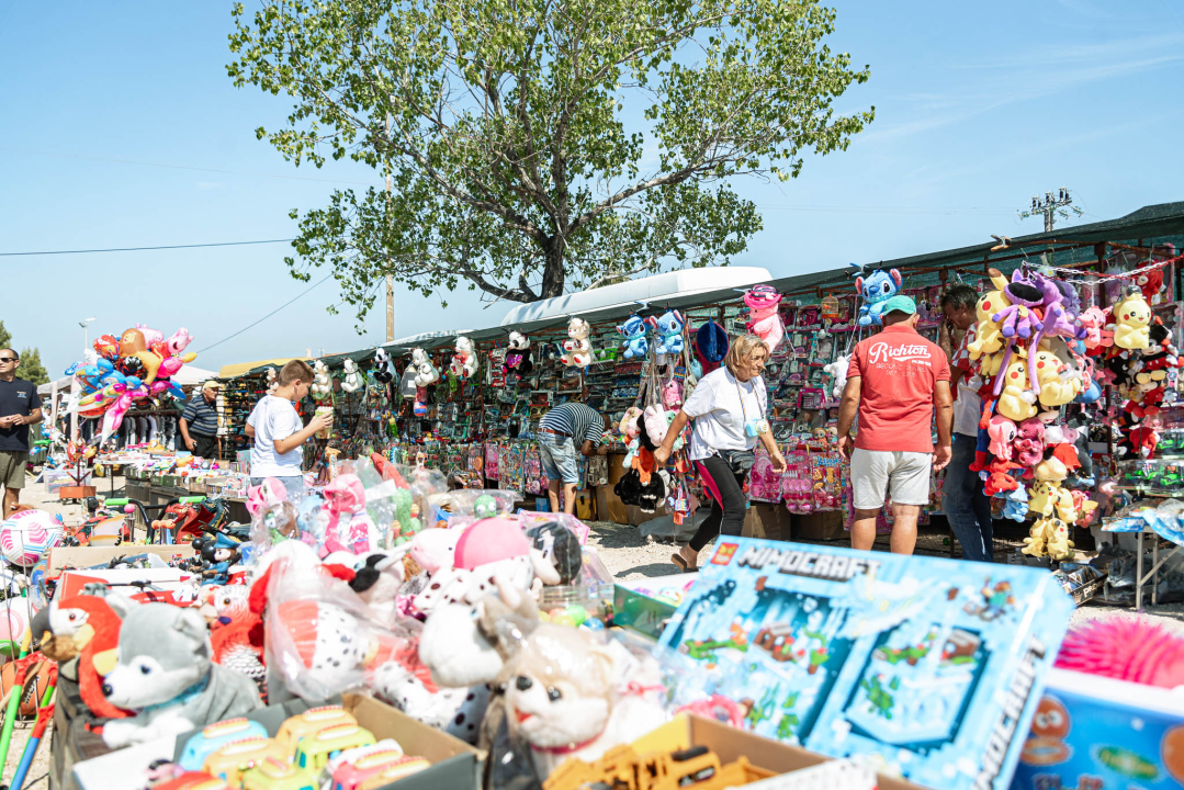 Velik broj vjernika okupio se u marijanskom svetištu u Vrpolju: Misu predvodio biskup Rogić