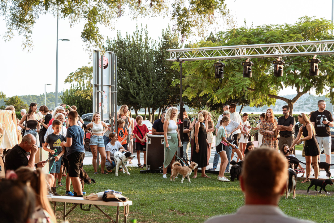 Šibenske šape rođendan proslavile izložbom pasa, tombolom i kvizom