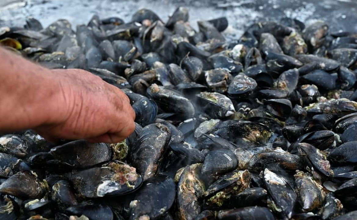 Na latu, na lešo, u rižotu, na buzaru: Zatonjani održali još jednu veselu Pidočijadu