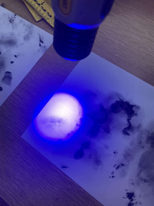 Edukativni susret policajaca i predškolaca DV Tamaris u Vodicama