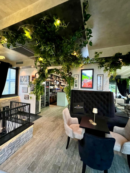 Petak rezervirajte za koncert Sandija u Mozartu! 