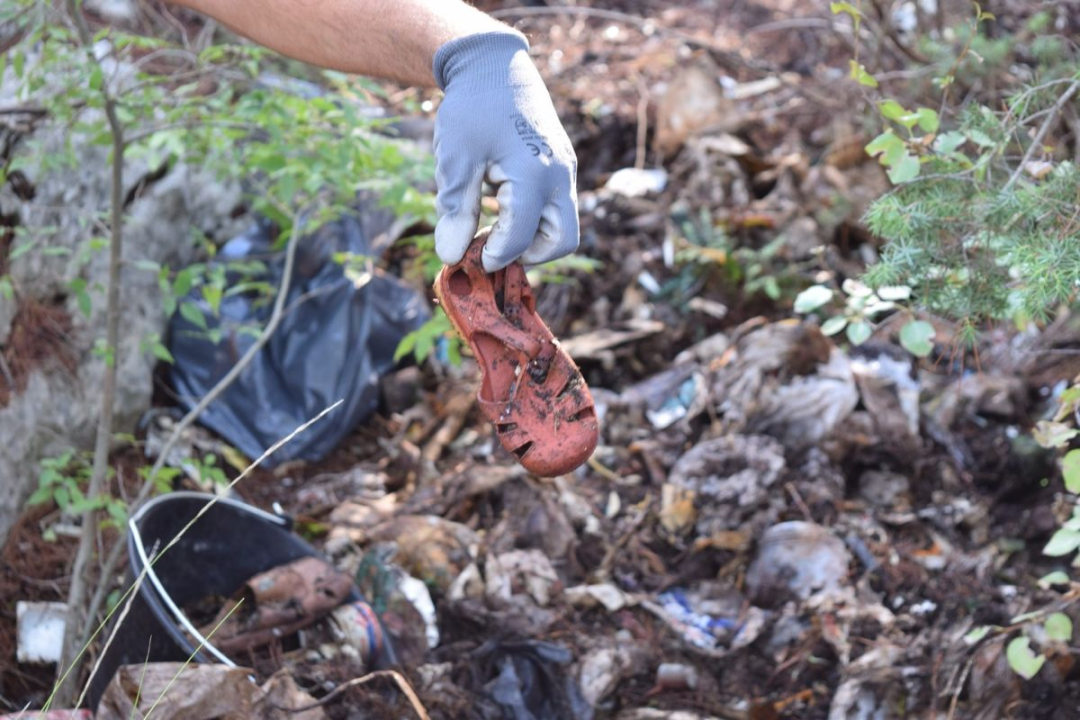 Zelena čistka: NP Krka svojim primjerom produbljuje svijest o važnosti očuvanja okoliša i prirodnog bogatstva