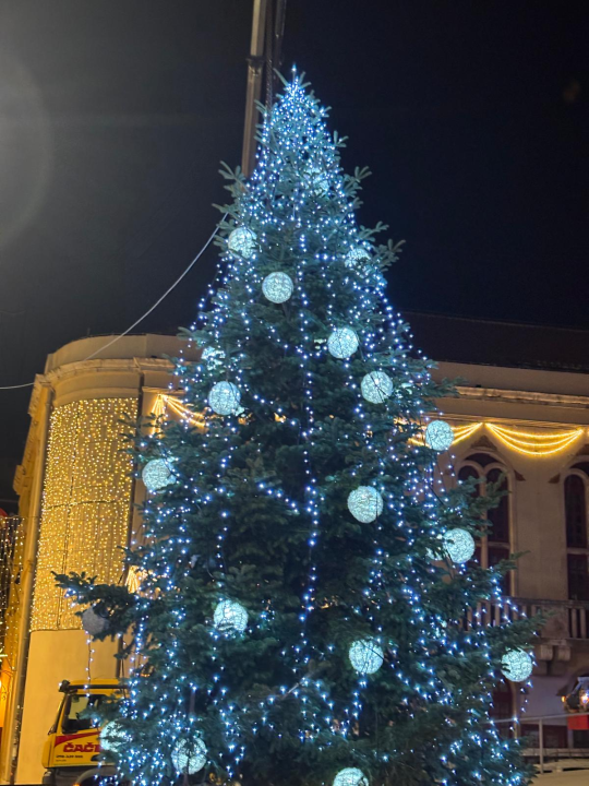 Brzom intervencijom Čače, vatrogasaca i policije Šibenik više nema kosi bor