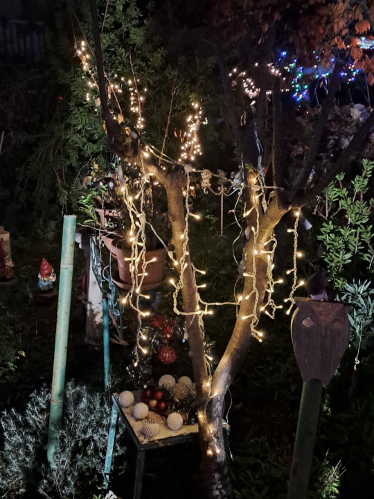 Božićni vrt obitelji Vlahov oduševljava: Blista s 27 tisuća lampica