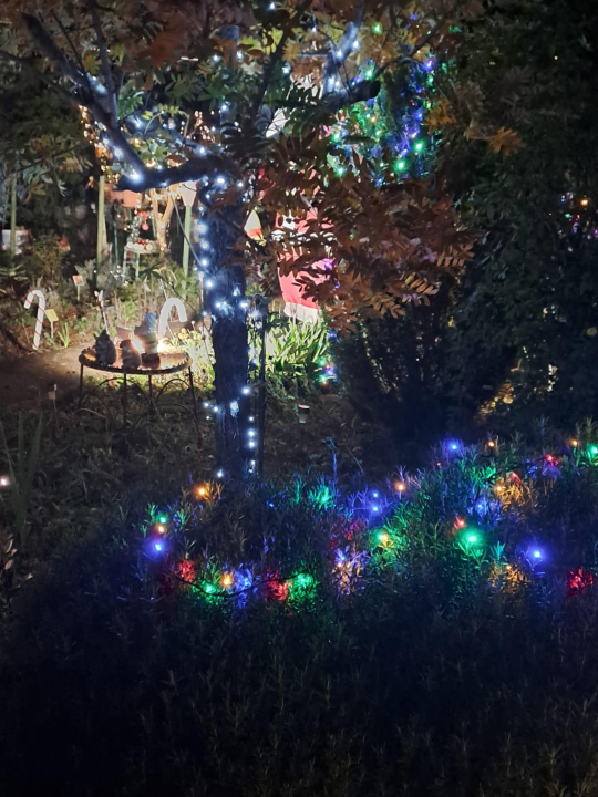 Božićni vrt obitelji Vlahov oduševljava: Blista s 27 tisuća lampica