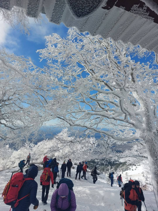 Mihovilovci i ove godine organizirali uspon na Dinaru za sv. Stjepana