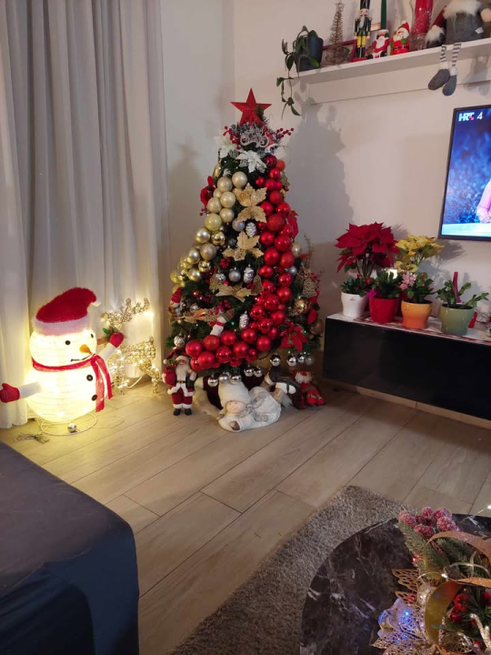 Provjerite tko su pobjednici izbora za naj jelku!