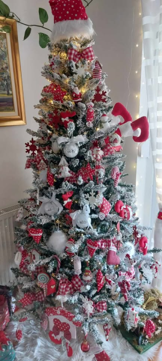 Provjerite tko su pobjednici izbora za naj jelku!