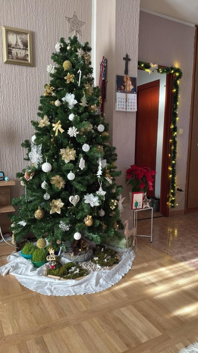 Provjerite tko su pobjednici izbora za naj jelku!