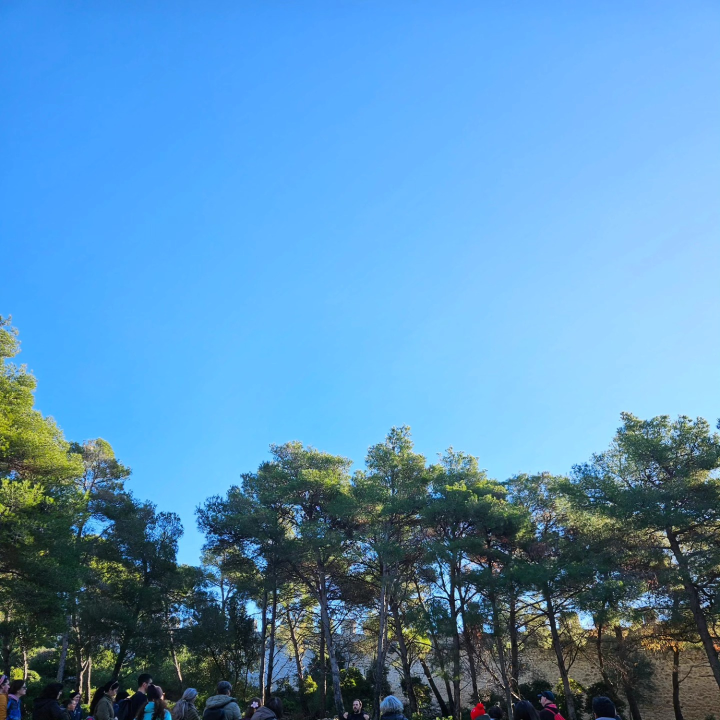 Brojni Šibenčani jutro proveli u šetnji na poluotoku Oštrica