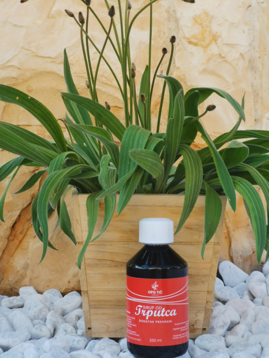 Katarinu je ljubav dovela u Tribunj, a ona i njezin Tomislav tradiciju i ljubav prema prirodi pretvorili su u posao