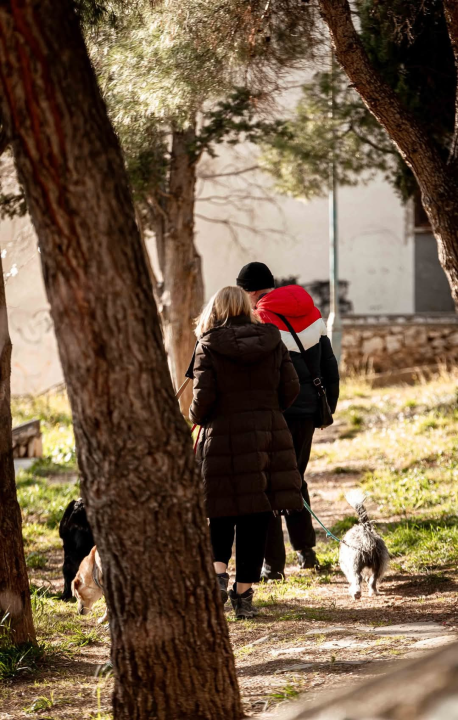 Šibenski Vidici: Kvart s dušom i pogledom na grad