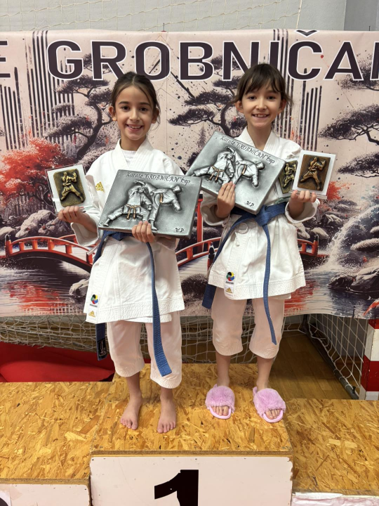 FOTO: Karatašima vodičkog Okita 18 medalja i treće mjesto ekipno na Grobničan kupu