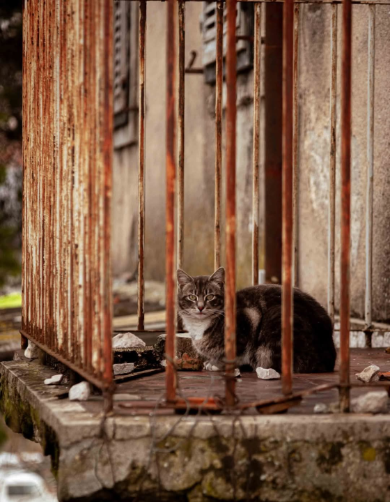 Lijepa Crnica više nije 'Mangan City': Još da ju je malo dodatno urediti
