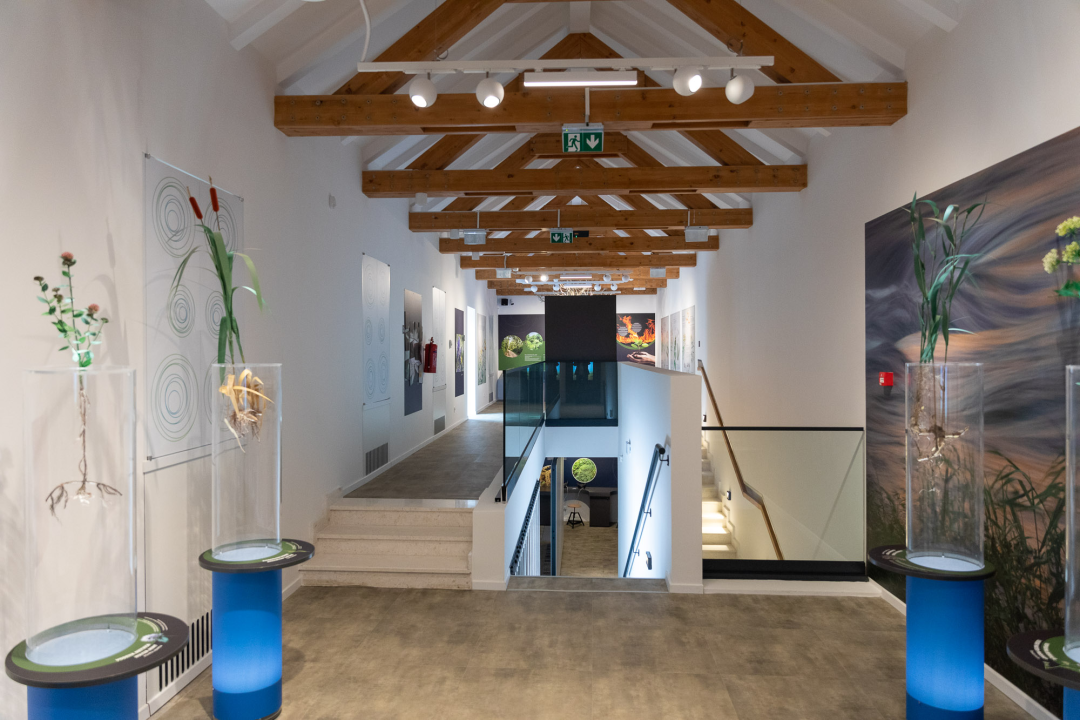 NP Krka posjetiteljima daruje obilazak gornjeg toka rijeke Krke i 'vrela života' u Kistanjama