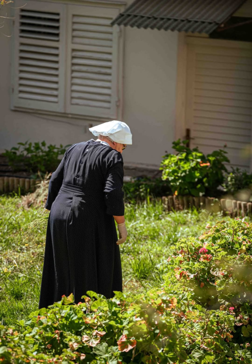 Krvavice - šibenska četvrt s karakterom