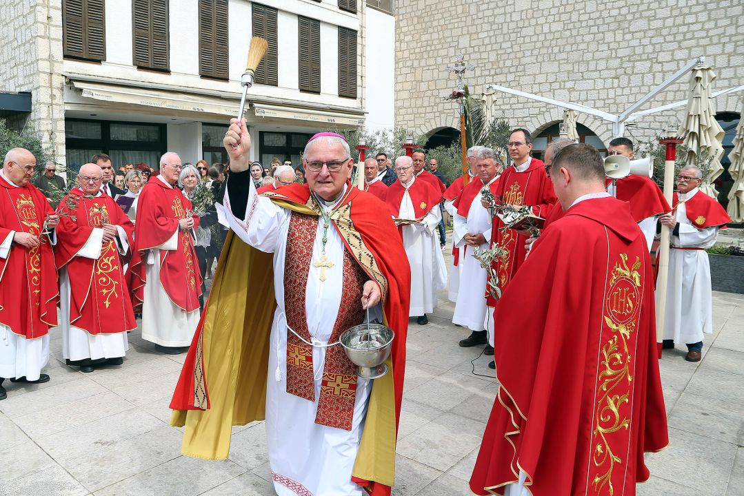 Cvjetnica u Šibeniku