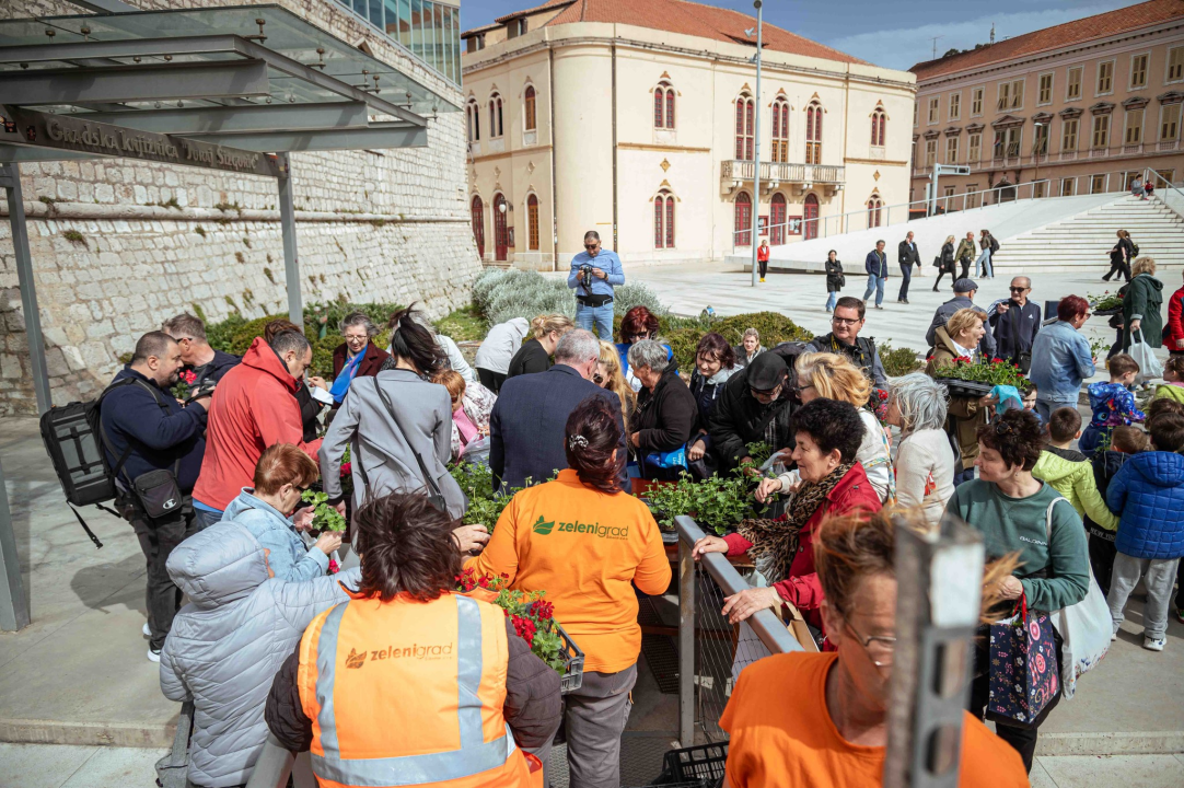 Održana tradicionalna akcija podjele sadnica u Šibeniku