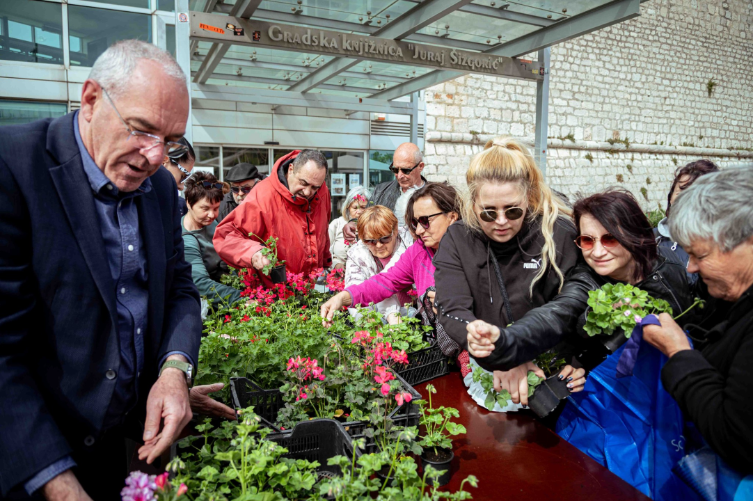 Održana tradicionalna akcija podjele sadnica u Šibeniku