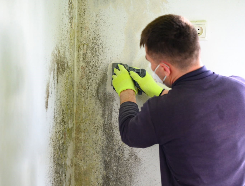 FOTO Povećana vlažnost u prostoru: Reagirajte na vrijeme, od malih fleka na zidu do velikog problema!