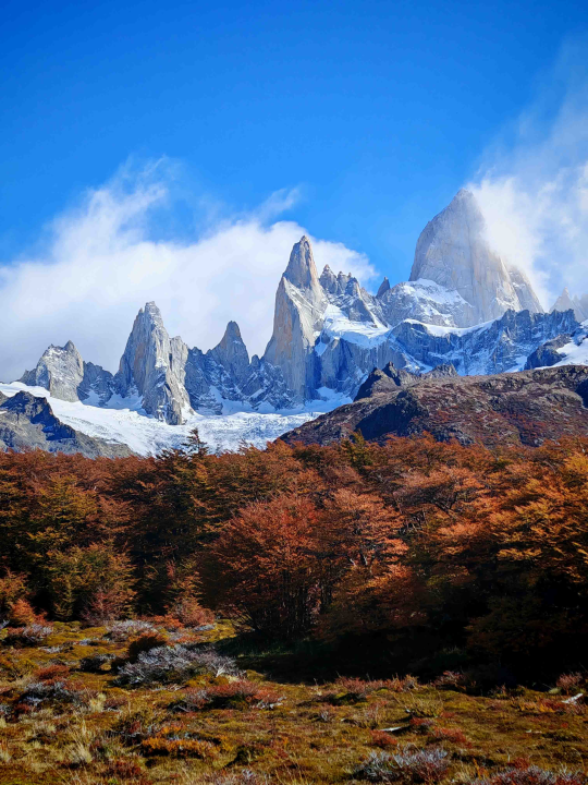 Veliki Gogo, prvi Šibenčanin na Antarktici: 'Skočio sam u more dva puta, a pingvini baš i ne mirišu najbolje'