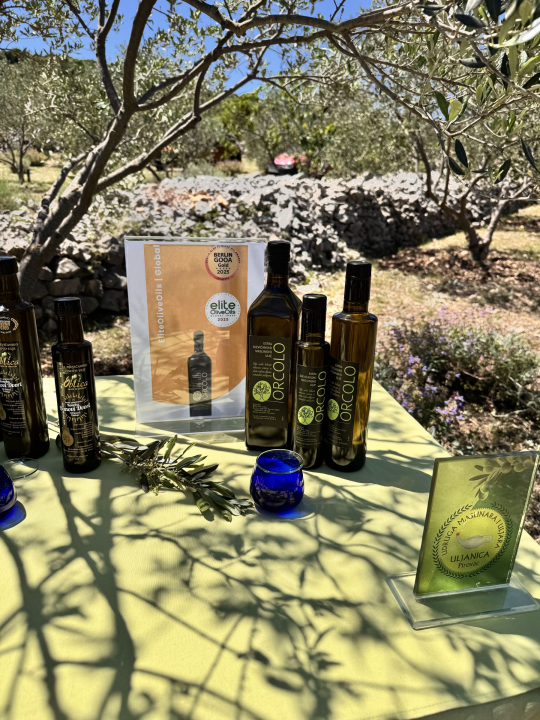 Pirovačka Udruga 'Uljanica' proslavila vrijedna međunarodna priznanja