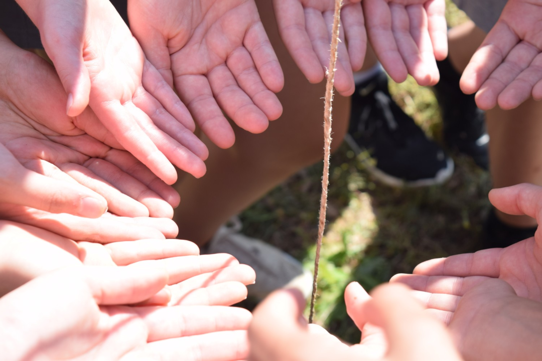 Mladi čuvari prirode u misiji zaštite prirode u NP Krka