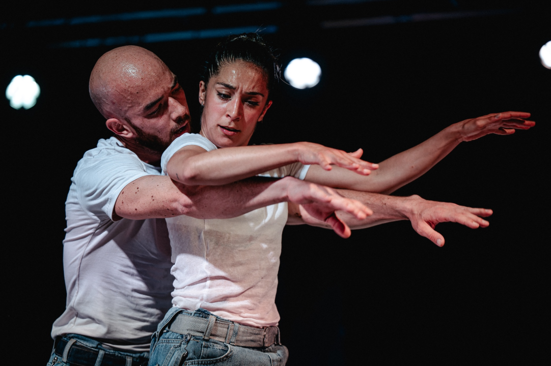 Šibenik Dance Festival