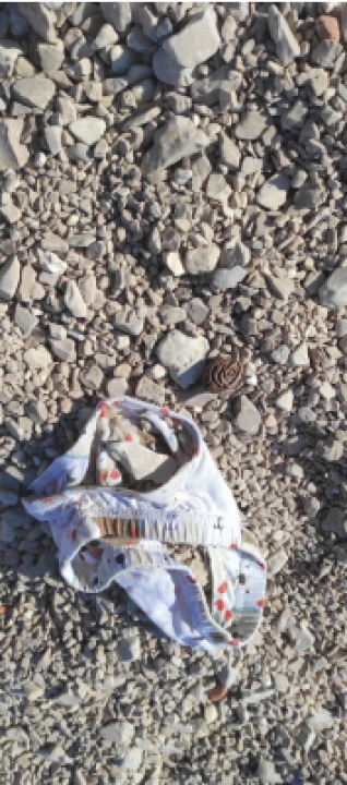 FOTO Fekalije po zidu, zaštopani zahodi, tamponi u okvirima, razbacano smeće – s tim se na Rezalištu svakodnevno bore djelatnici Zelenog grada