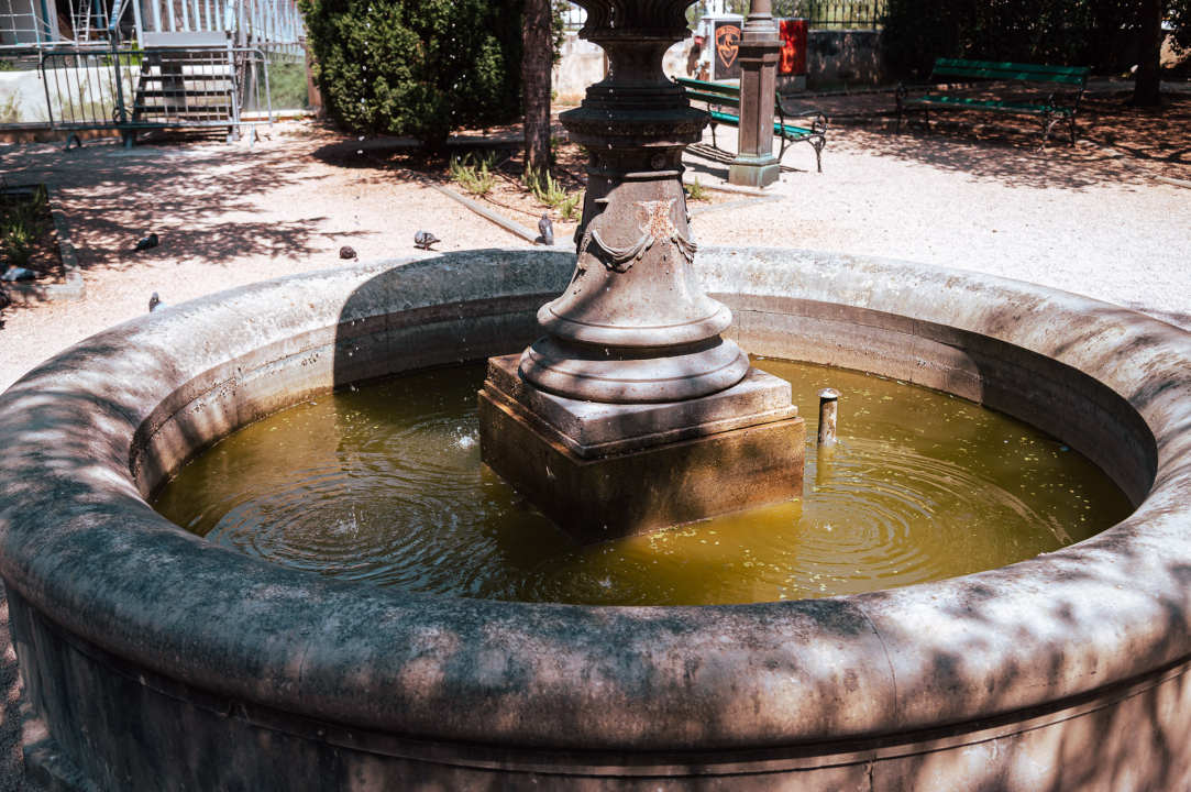 Fontana stala, voda mutna: Prizor iz perivoja Roberta Visianija bode u oči, Zeleni grad otkrio krivca