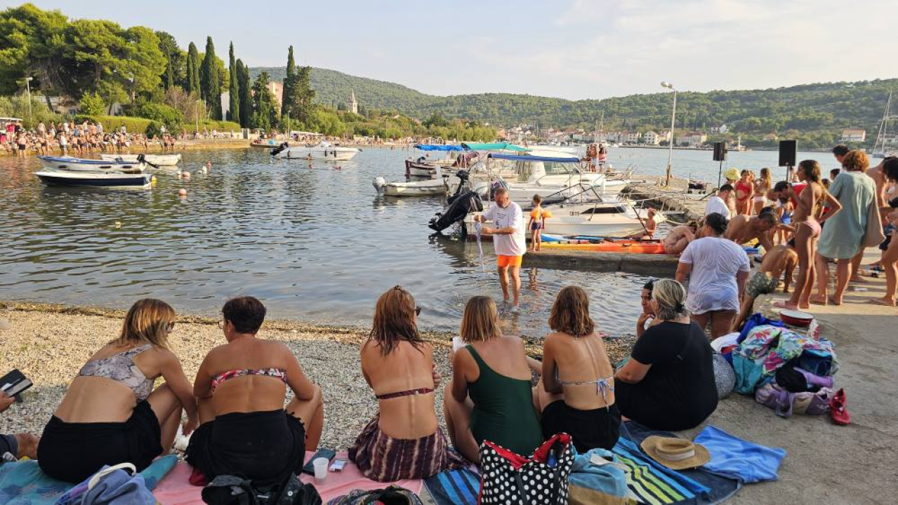 Lov na ciple na teću