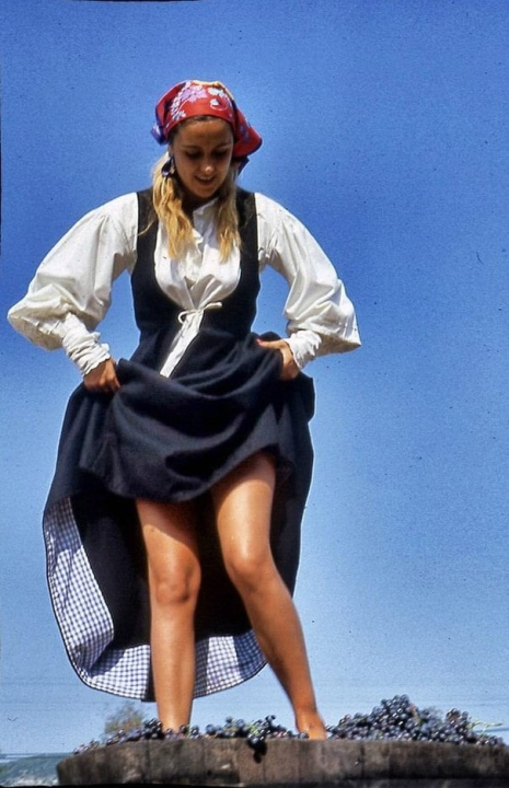 Priča o ćukteru:  Jeste li znali da su šibenski težaci od ciđe radili slatku deliciju?