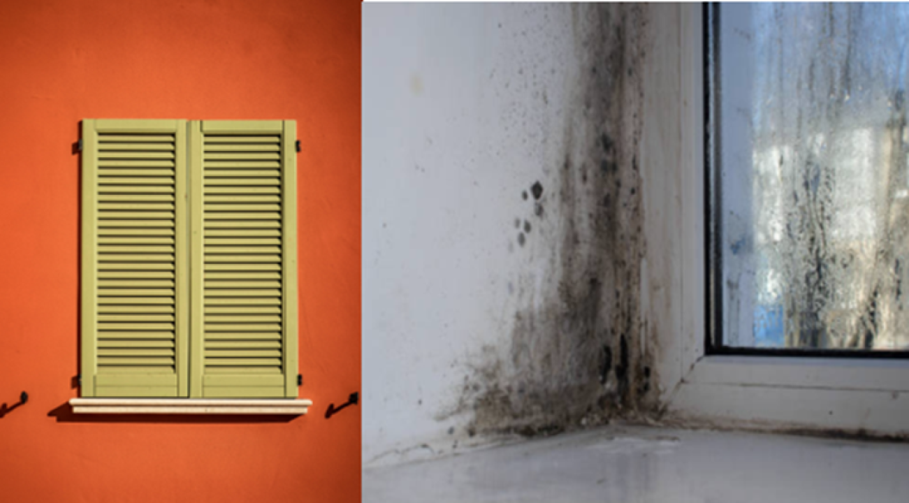 FOTO Sezona je završila: Izbjegnite vlagu u zatvorenim prostorima kad gosti odu