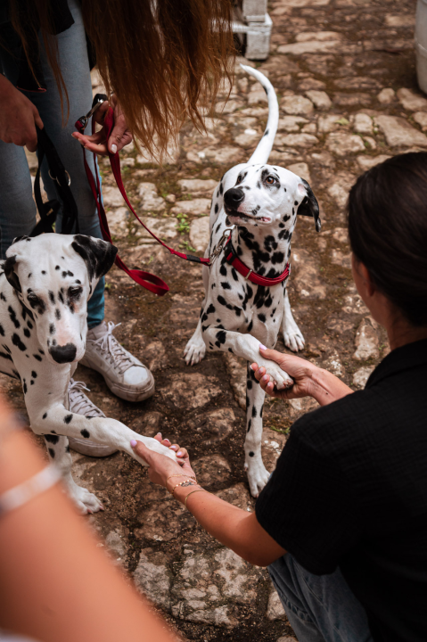 FOTO Istražili smo što donosi jesen u staroj jezgri grada!