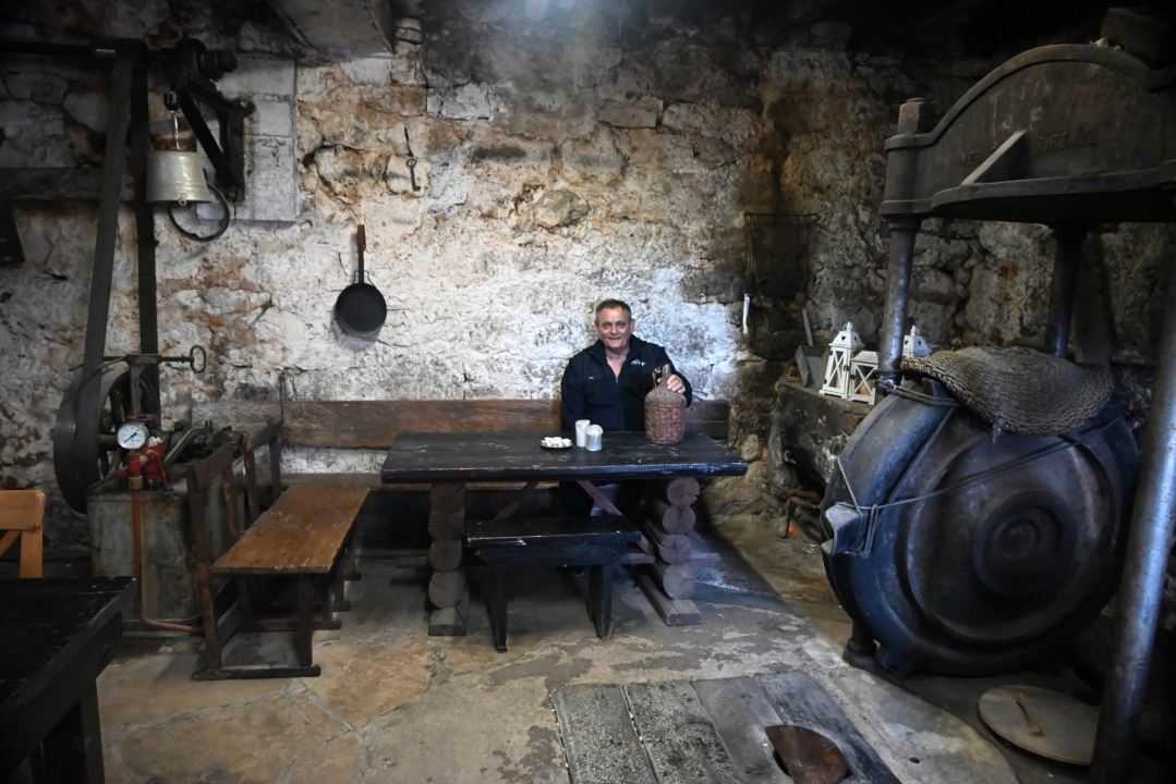 Zlato Kruševa i ponos Primoštena: Uljarske priče i spiza koja je othranila generacije