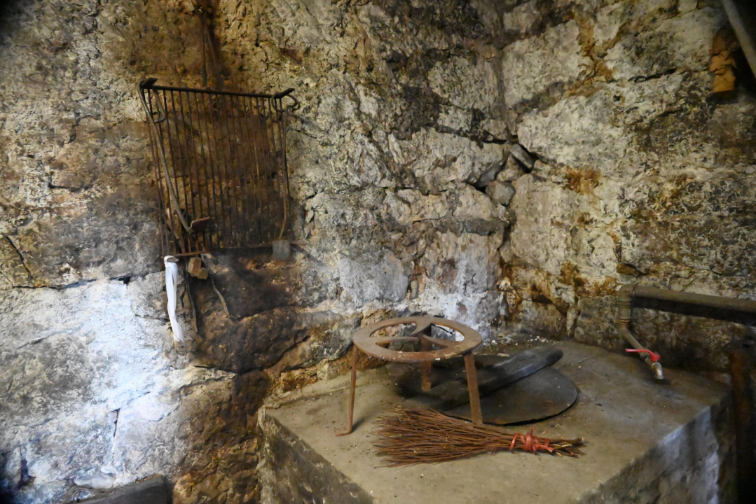 Zlato Kruševa i ponos Primoštena: Uljarske priče i spiza koja je othranila generacije