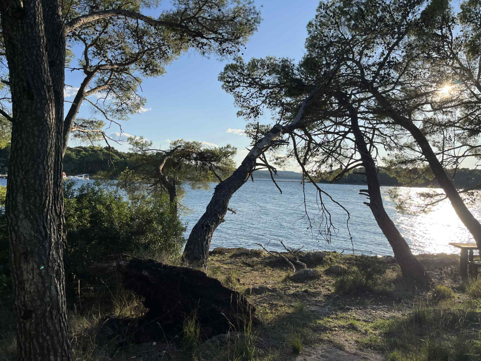 Jaka bura danas odvalila stablo na šetnici sv. Ante. Još se drži, ali pitanje je vremena...