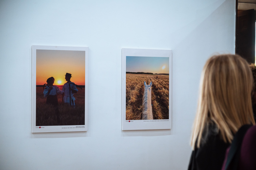 Otvorena izložba 'Volim svoju županiju'