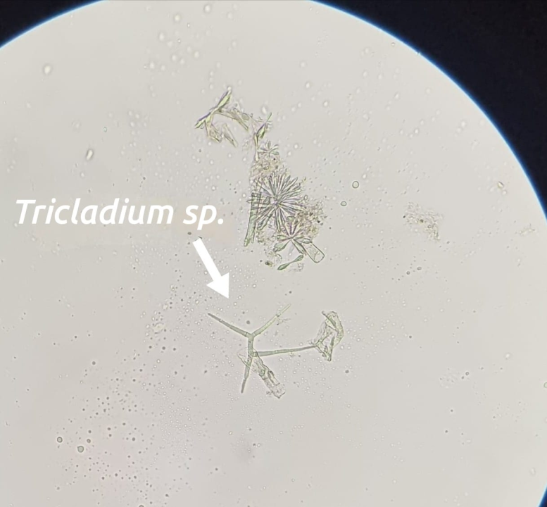 Mladi volonteri u NP Krka otkrili niz novih vrsta koje svjedoče o iznimnoj bioraznolikosti