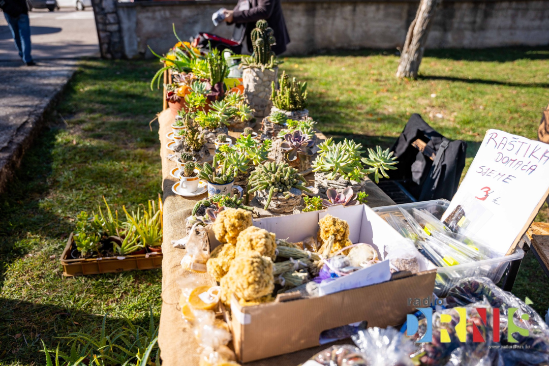 Čuvarice tradicije i stup zajednice: U Pakovom Selu obilježen Svjetski dan seoskih žena
