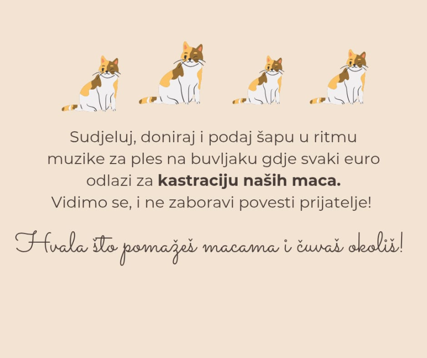 Donacijom stvari podržite kastraciju pirovačkih mačaka